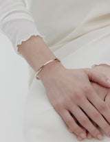 26SS★ [Premium Plating] Truvion AB Bangle