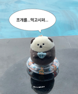 Chanibear ストレスボール - シーオッター