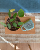 Muglet Pouch (Matcha Latte)