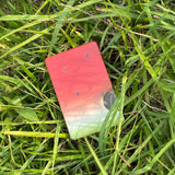 Magsafe Card : Watermelon