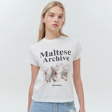 【数量限定】マルチーズアーカイブTシャツ