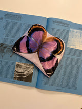 Butterfly Pouch