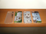 baby maltese case