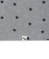 ストライプド スター ラグラン LS Tシャツ(CV2GFFT561A)