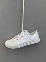 ASCLO White Canvas (Low)