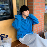 pig hoodie (5color)