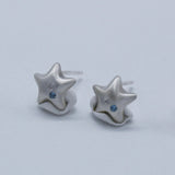 Twinkle chubby star earring(Matte)
