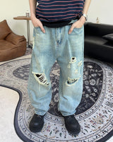 Ean Washed Destroyed Jean