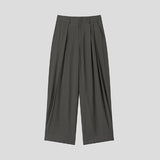 Royden Drape Two-Tuck Wide Slacks