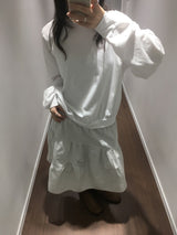 Le Panel Midi Skirt (2color)