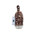 【limited price】Chovy, Domestic Shorthair 