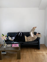 No.1116 Toy stripe hood knit (3color)
