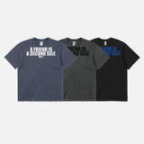 ツーAピグメント半袖Tシャツ 3C