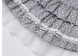 Aveline Dot Lace Tiered Skirt