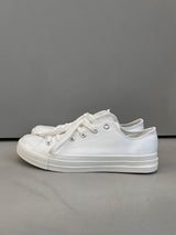 ASCLO White Canvas (Low)