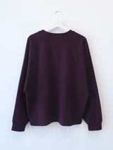 boxy raglan crop sweatshirt 
