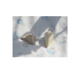 Shell towel mat
