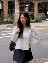 #AR Frill Lace Pintuck Blouse