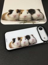 guineas pig case 