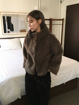 Foaming High Neck Poggle Fur Hooded Jacket (3c)