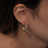 oeuf pierce