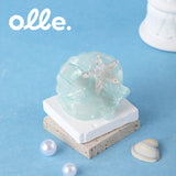 Olle. 鸥莉 オーリー アセテート素材 ハンドメイド シェルシルエットクリップ 上品 韓国風 ヘアアクセサリー