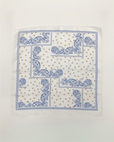 Cherry Paisley Bandana (2color)