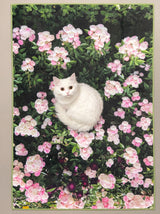 Blush rose garden, landscape rug 100x150