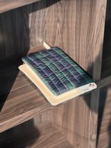 Green Check Book Cover