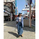 モチペイズリーローブ