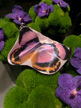 Butterfly Pouch