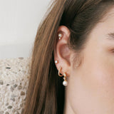 gold shell pearl sparkle point barbell single piercing E070-14G