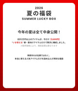 2026 SUMMER LUCKY BOX (dereborujo)