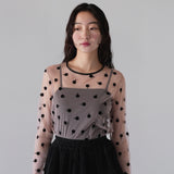 clover see through tops