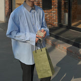 ASCLO Point Collar Stripe Shirt (2color)