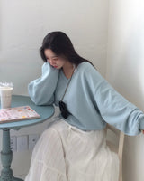 [MADE/6color] ポニー、Vネックのゆったりフィットトレーナー