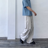 Mist Silver Pleated Pants