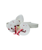 [春] - Phalaenopsis choker (4color)