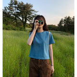 ダリオンTシャツ