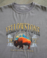 BUFFALO DYING TEE