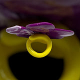 super big flower ring*金属アレルギー対応