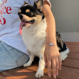 Basic bracelet for abandoned dogs