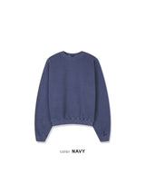 Pigment Crop Sweatshirt