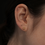 wrinkle pierce