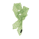 Net Lace Scarf (mint)
