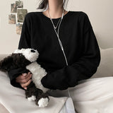 ワドン ベーシック ボックス ラウンド ロングスリーブ Tシャツ