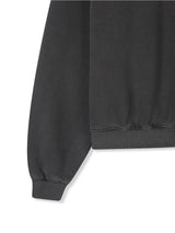 Pigment Crop Sweatshirt