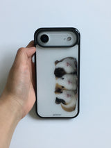 guineas pig case 