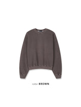 Pigment Crop Sweatshirt