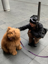 ビノチェックベンディングウエストパンツ